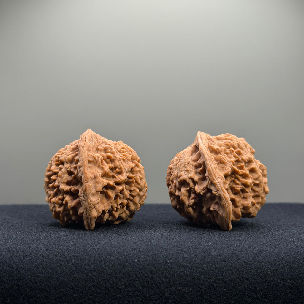 Starry Sky Wenwan Walnut · 40mm · Natural · Entry Ritual