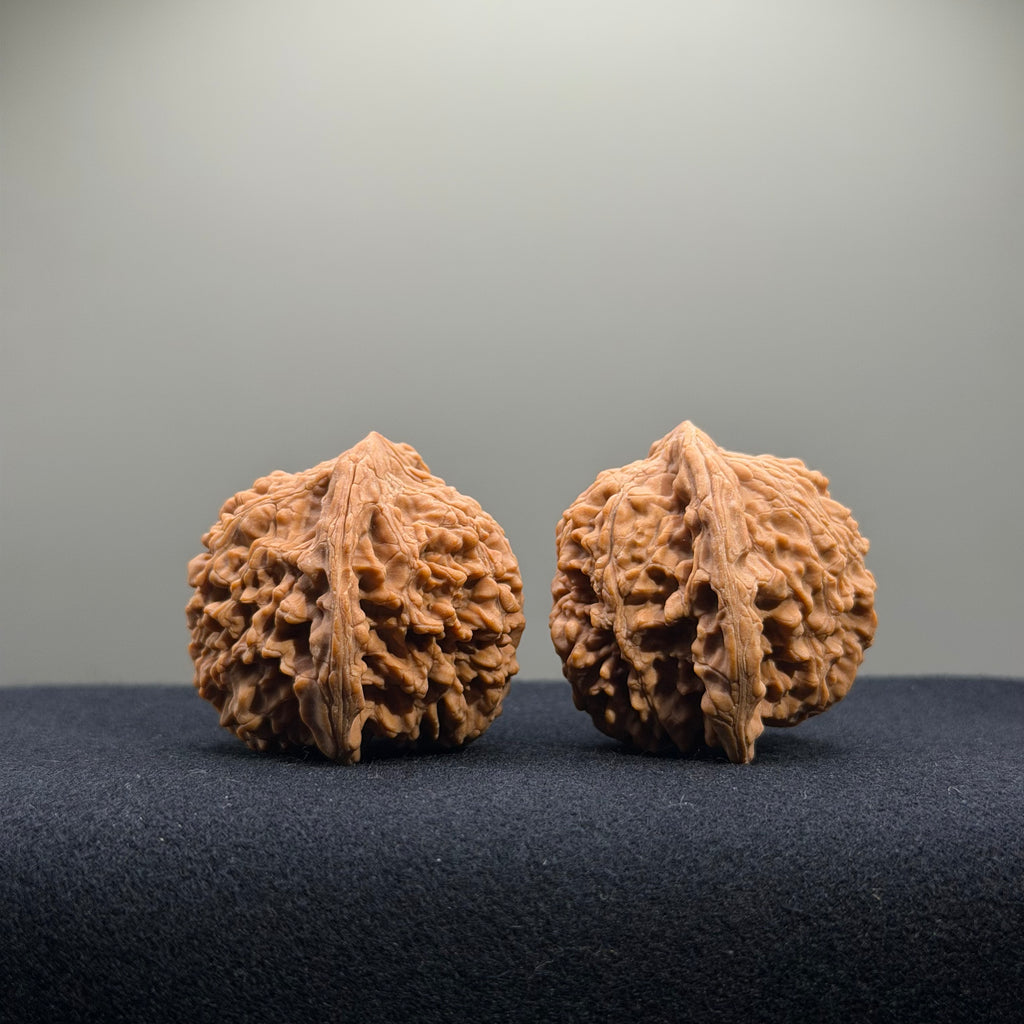 Starry Sky Wenwan Walnut · 40mm · Natural · Entry Ritual