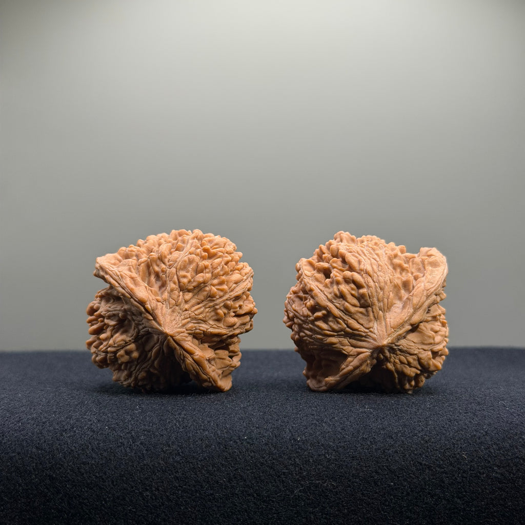 Starry Sky Wenwan Walnut · 40mm · Natural · Entry Ritual