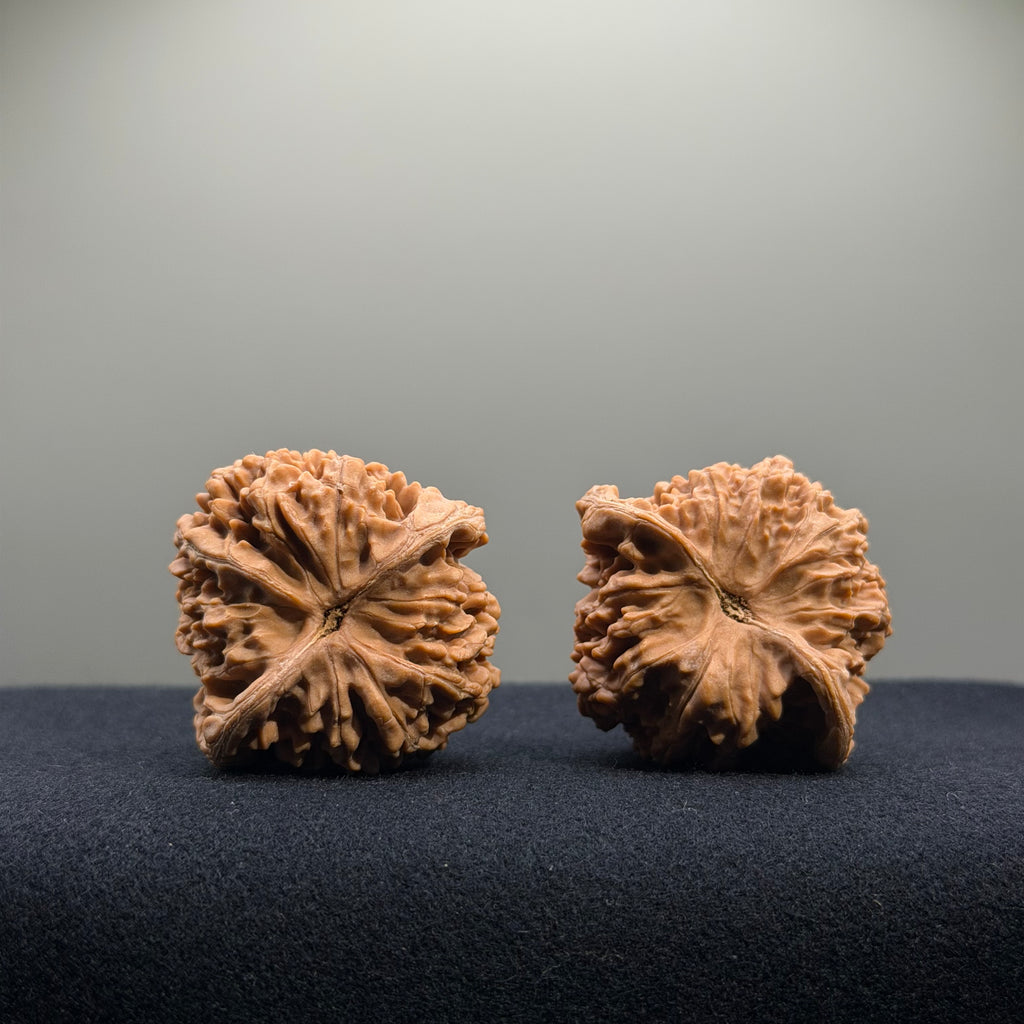 Starry Sky Wenwan Walnut · 40mm · Natural · Entry Ritual