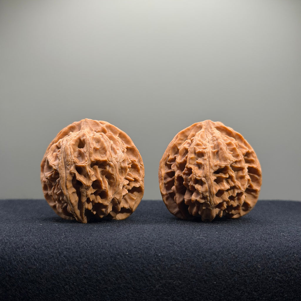 Apple Orchard Wenwan Walnut · 40mm · Natural · Entry Ritual