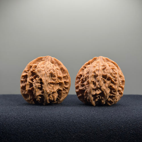 Apple Orchard Wenwan Walnut · 40mm · Natural · Entry Ritual