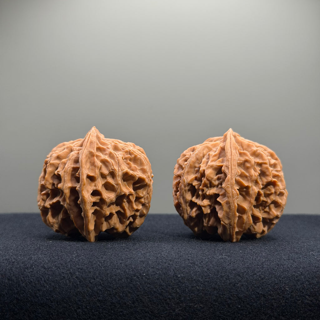 Apple Orchard Wenwan Walnut · 40mm · Natural · Entry Ritual