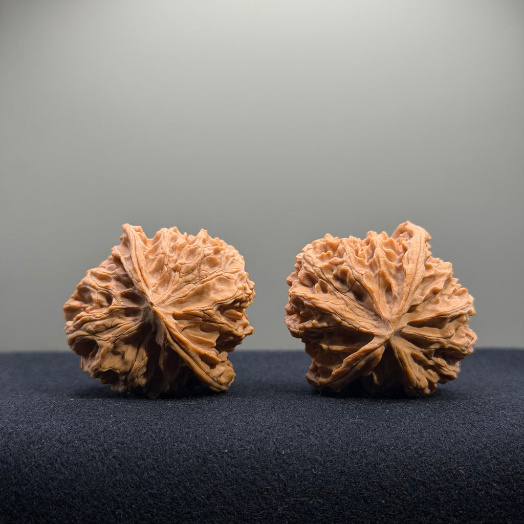Apple Orchard Wenwan Walnut · 40mm · Natural · Entry Ritual