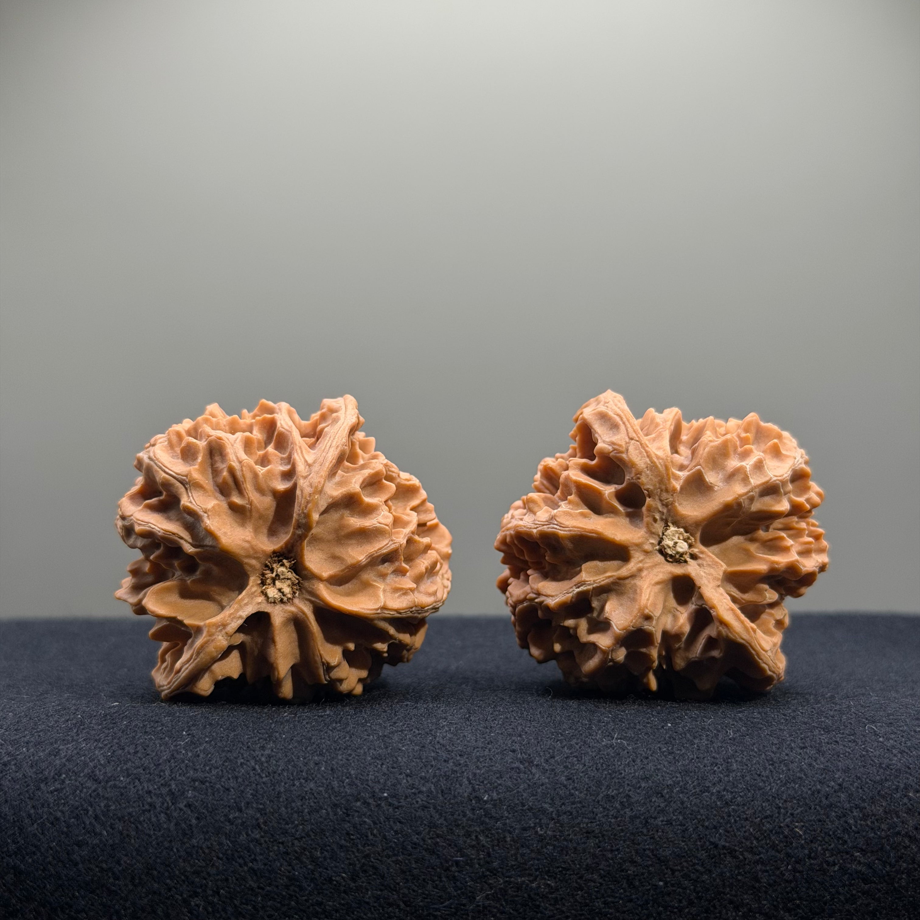 Apple Orchard Wenwan Walnut · 40mm · Natural · Entry Ritual