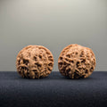Apple Orchard Wenwan Walnut · 38mm · Natural · Entry Ritual
