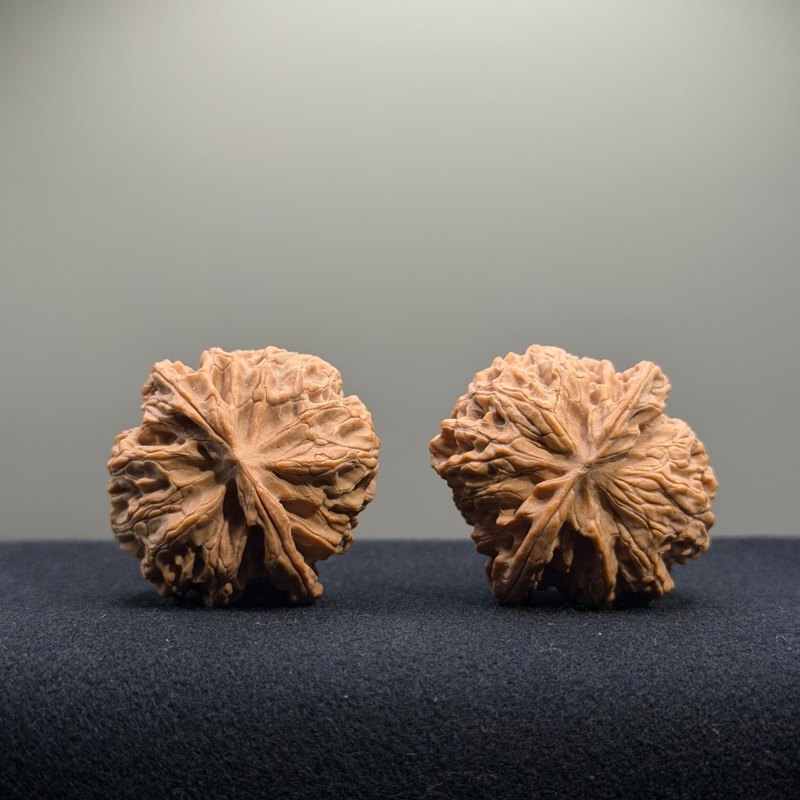 Apple Orchard Wenwan Walnut · 38mm · Natural · Entry Ritual