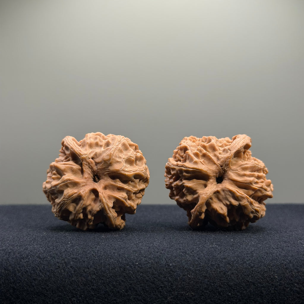 Apple Orchard Wenwan Walnut · 38mm · Natural · Entry Ritual