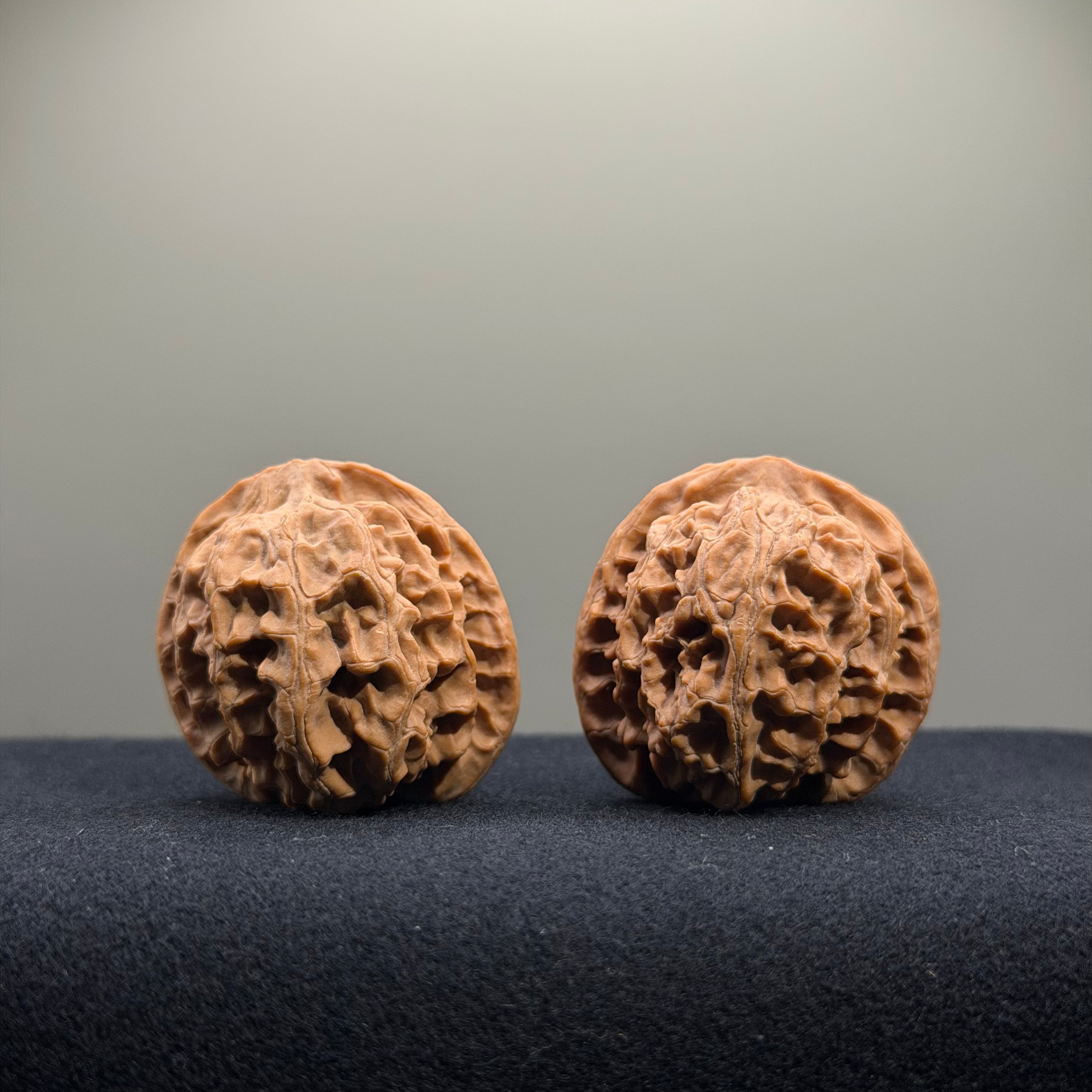 Apple Orchard Wenwan Walnut · 36mm · Natural · Entry Ritual