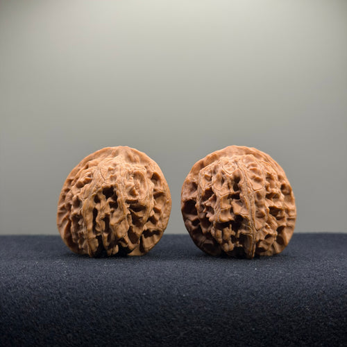 Apple Orchard Wenwan Walnut · 36mm · Natural · Entry Ritual