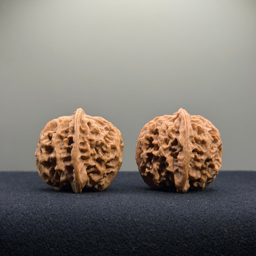 Apple Orchard Wenwan Walnut · 36mm · Natural · Entry Ritual