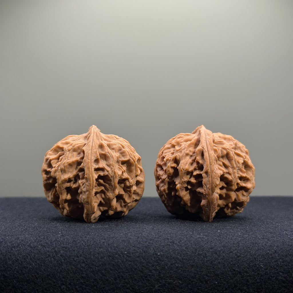 Apple Orchard Wenwan Walnut · 36mm · Natural · Entry Ritual