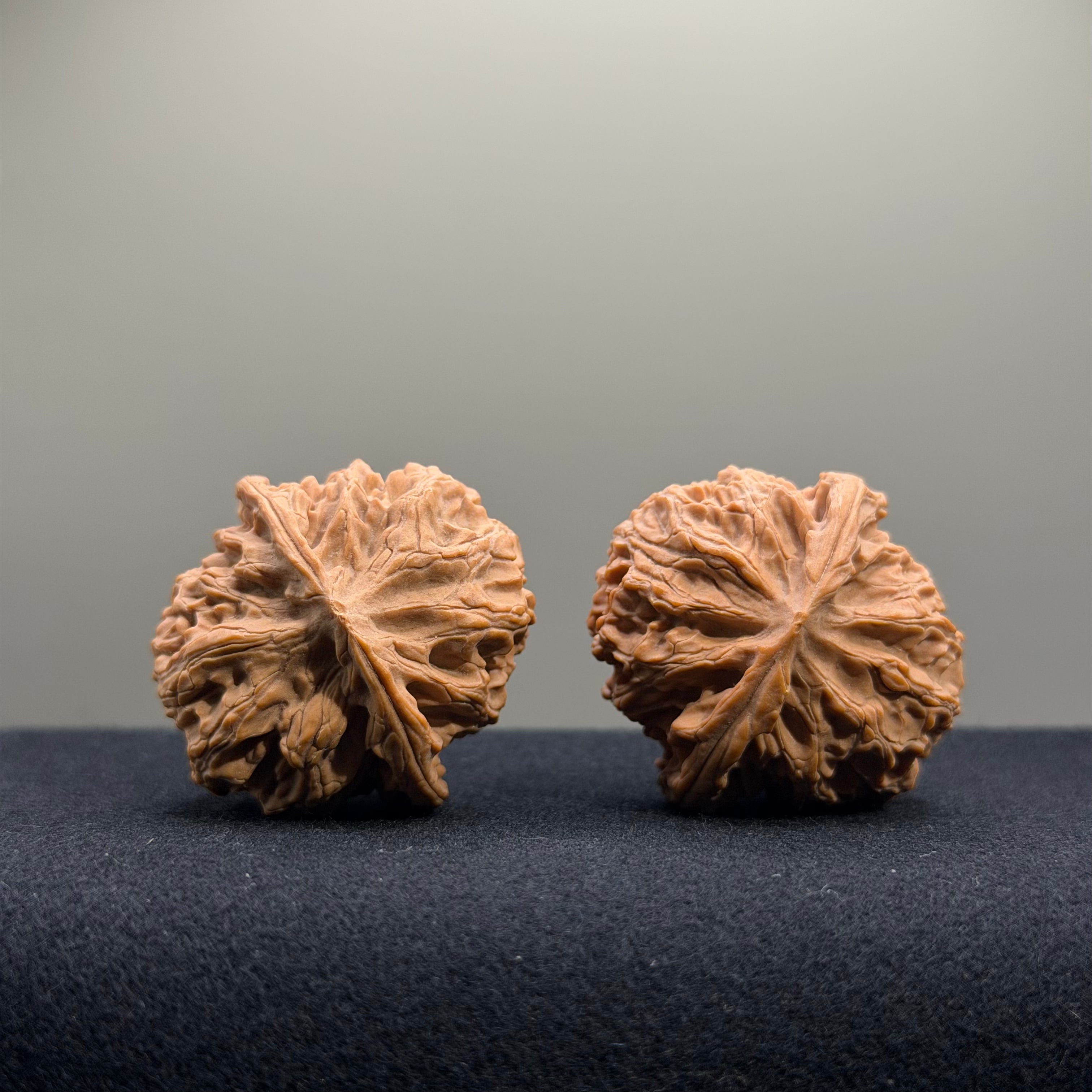 Apple Orchard Wenwan Walnut · 36mm · Natural · Entry Ritual