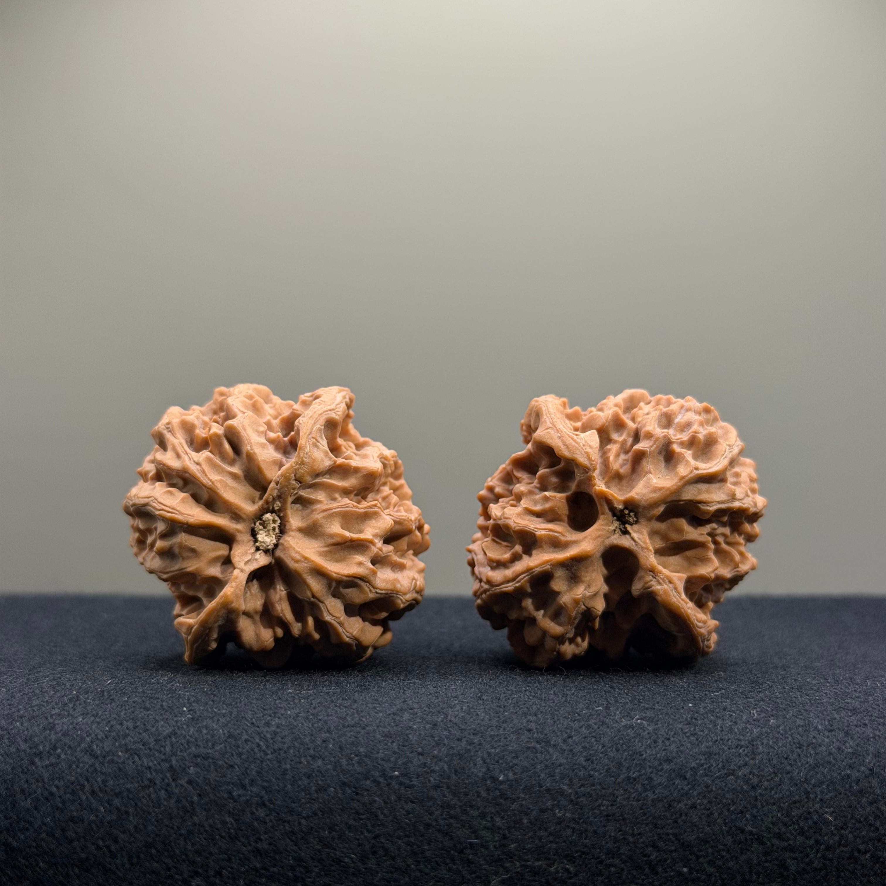 Apple Orchard Wenwan Walnut · 36mm · Natural · Entry Ritual