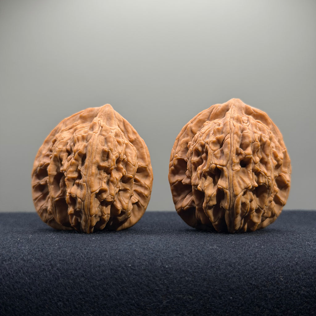 Wheat Ear Tiger Head Wenwan Walnut · 41mm · Natural · Entry Ritual