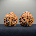 Wheat Ear Tiger Head Wenwan Walnut · 41mm · Natural · Entry Ritual