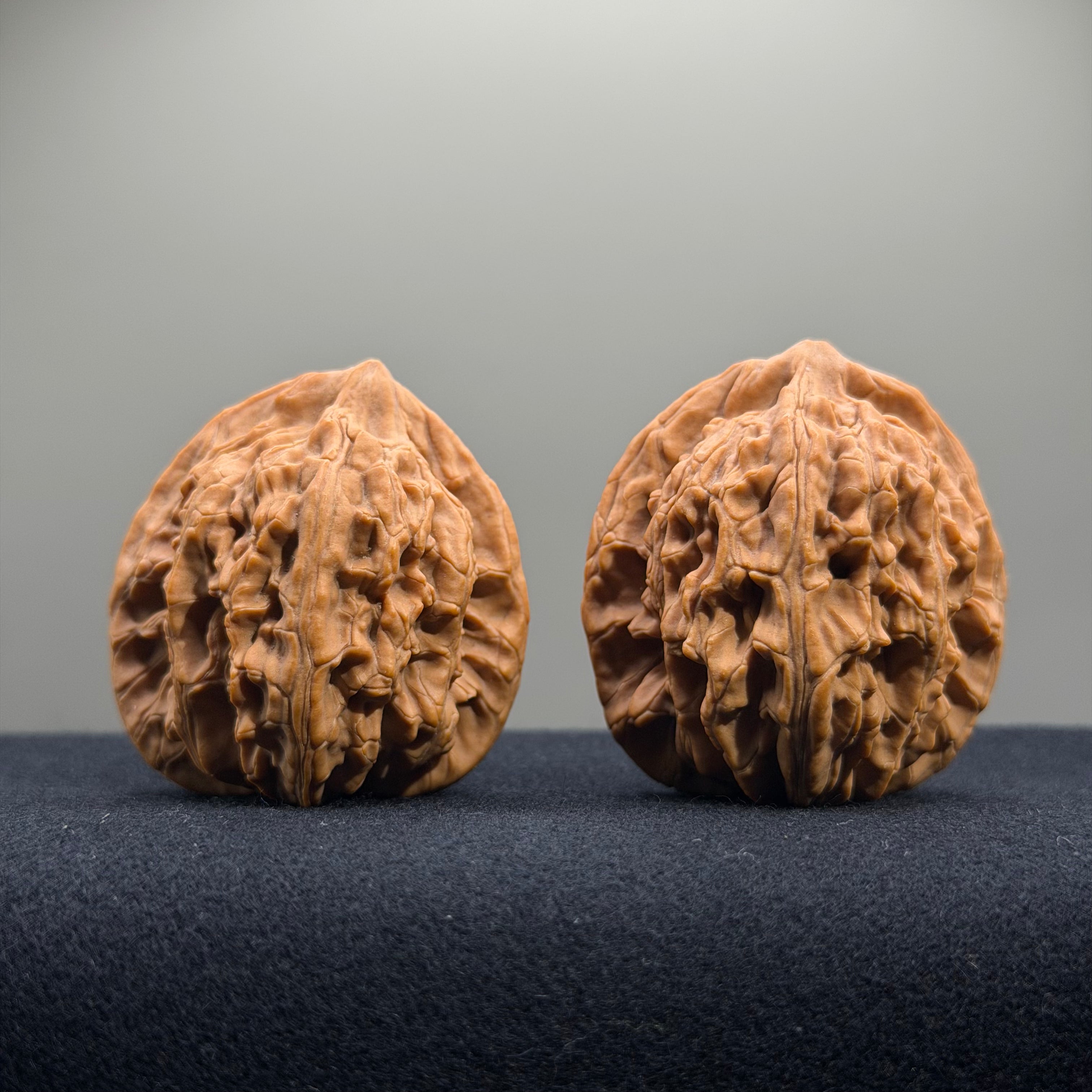 Wheat Ear Tiger Head Wenwan Walnut · 41mm · Natural · Entry Ritual