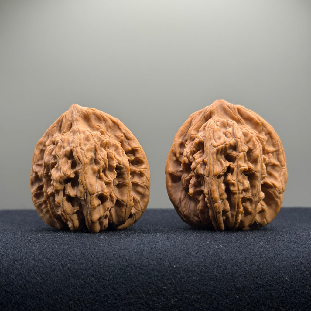 Wheat Ear Tiger Head Wenwan Walnut · 41mm · Natural · Entry Ritual