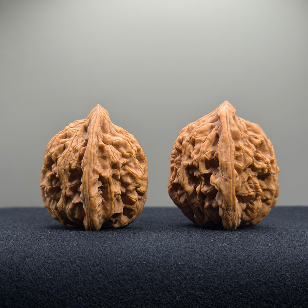 Wheat Ear Tiger Head Wenwan Walnut · 41mm · Natural · Entry Ritual