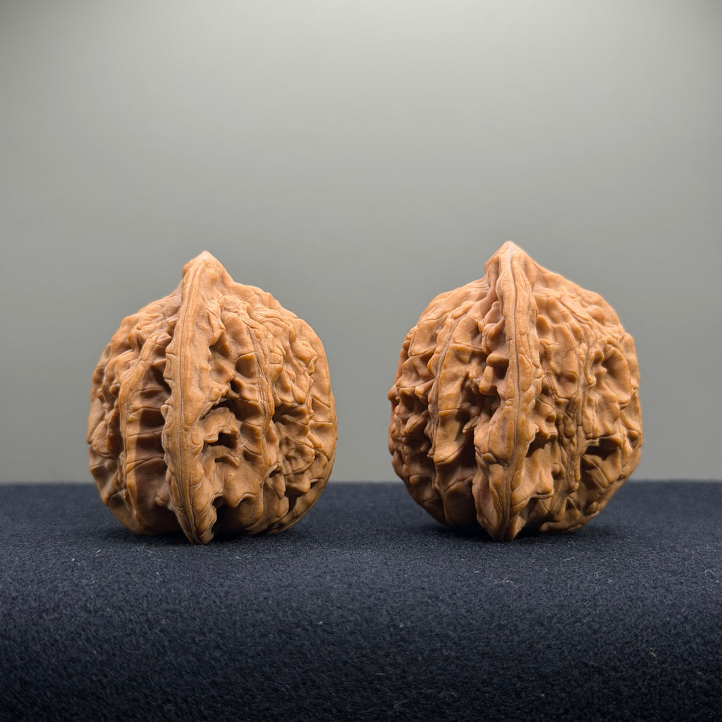 Wheat Ear Tiger Head Wenwan Walnut · 41mm · Natural · Entry Ritual