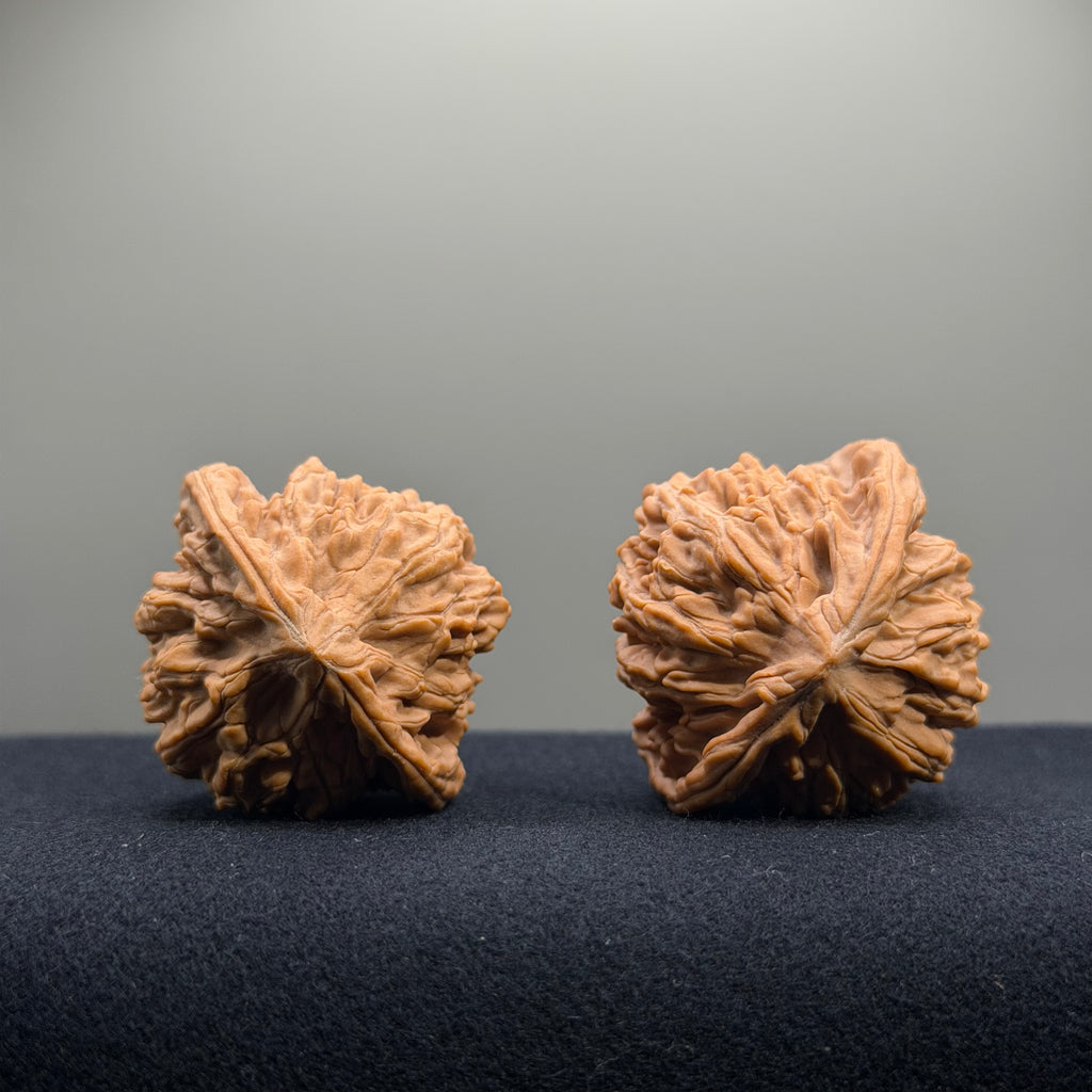 Wheat Ear Tiger Head Wenwan Walnut · 41mm · Natural · Entry Ritual