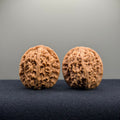 Cowboy Wenwan Walnut · 37mm · Natural · Entry Ritual