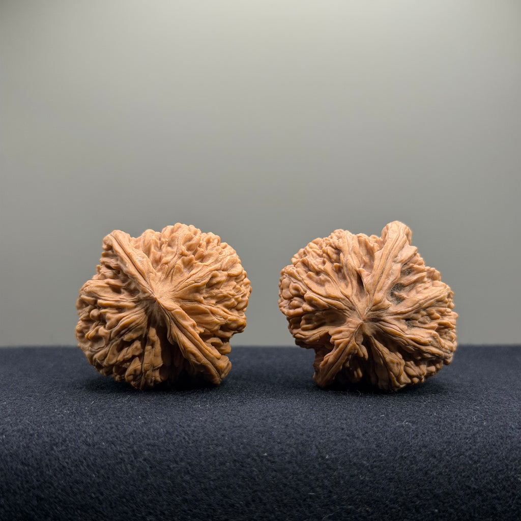 Cowboy Wenwan Walnut · 37mm · Natural · Entry Ritual