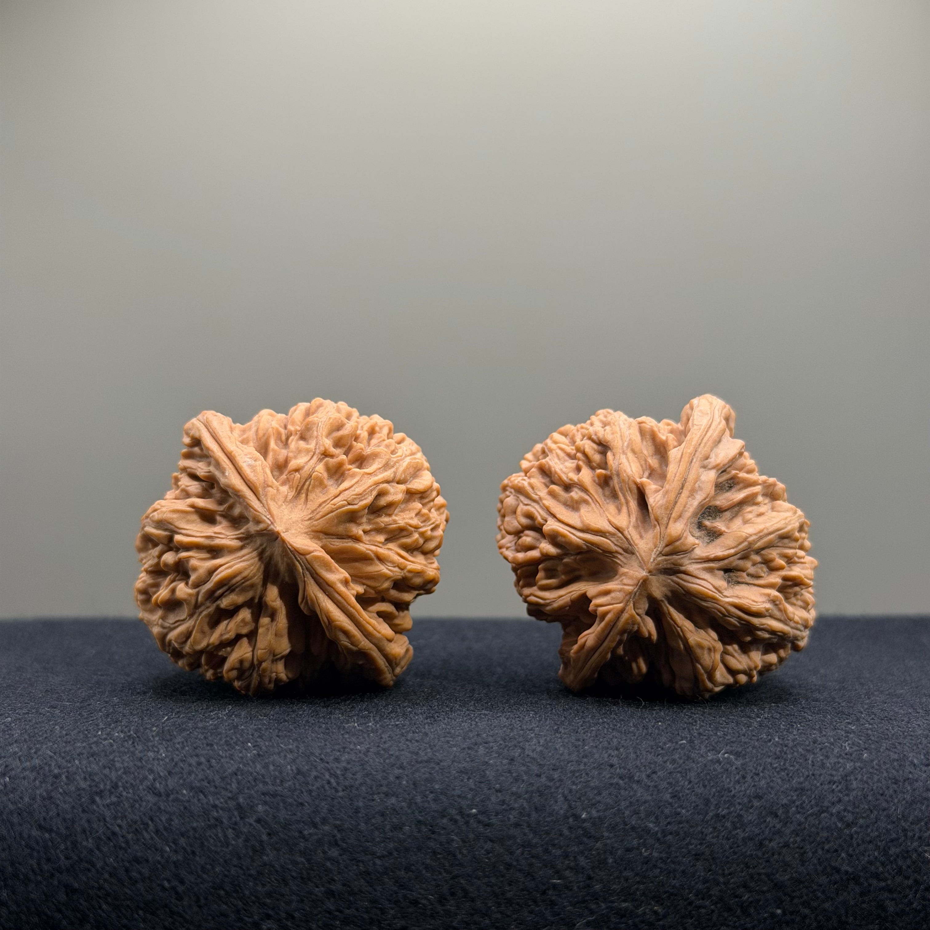 Cowboy Wenwan Walnut · 37mm · Natural · Entry Ritual