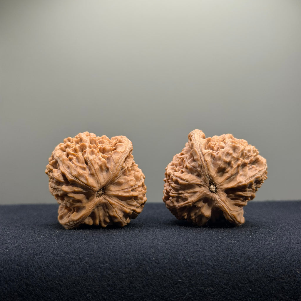 Cowboy Wenwan Walnut · 37mm · Natural · Entry Ritual