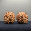 Cowboy Wenwan Walnut · 38mm · Natural · Select Ritual