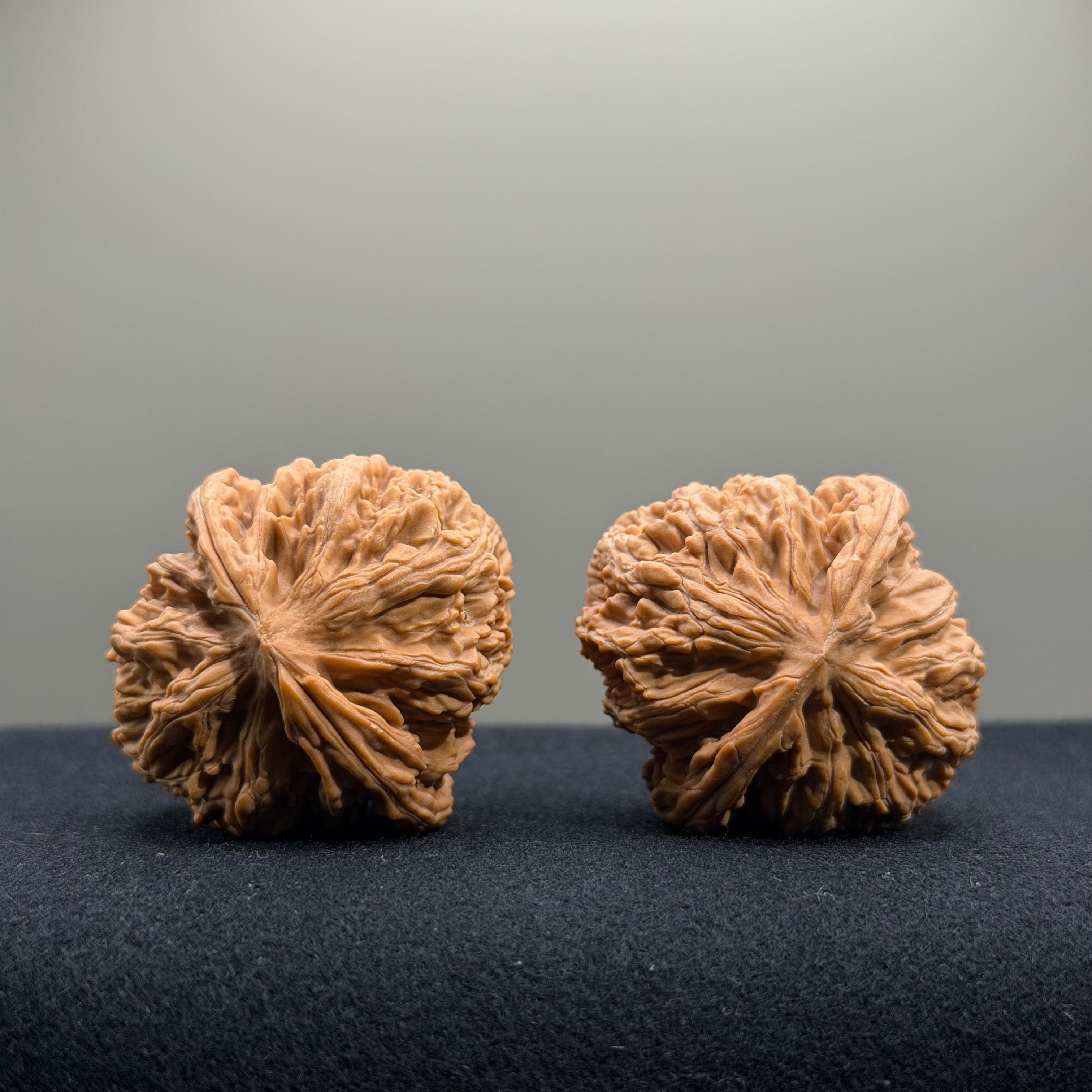 Cowboy Wenwan Walnut · 38mm · Natural · Select Ritual