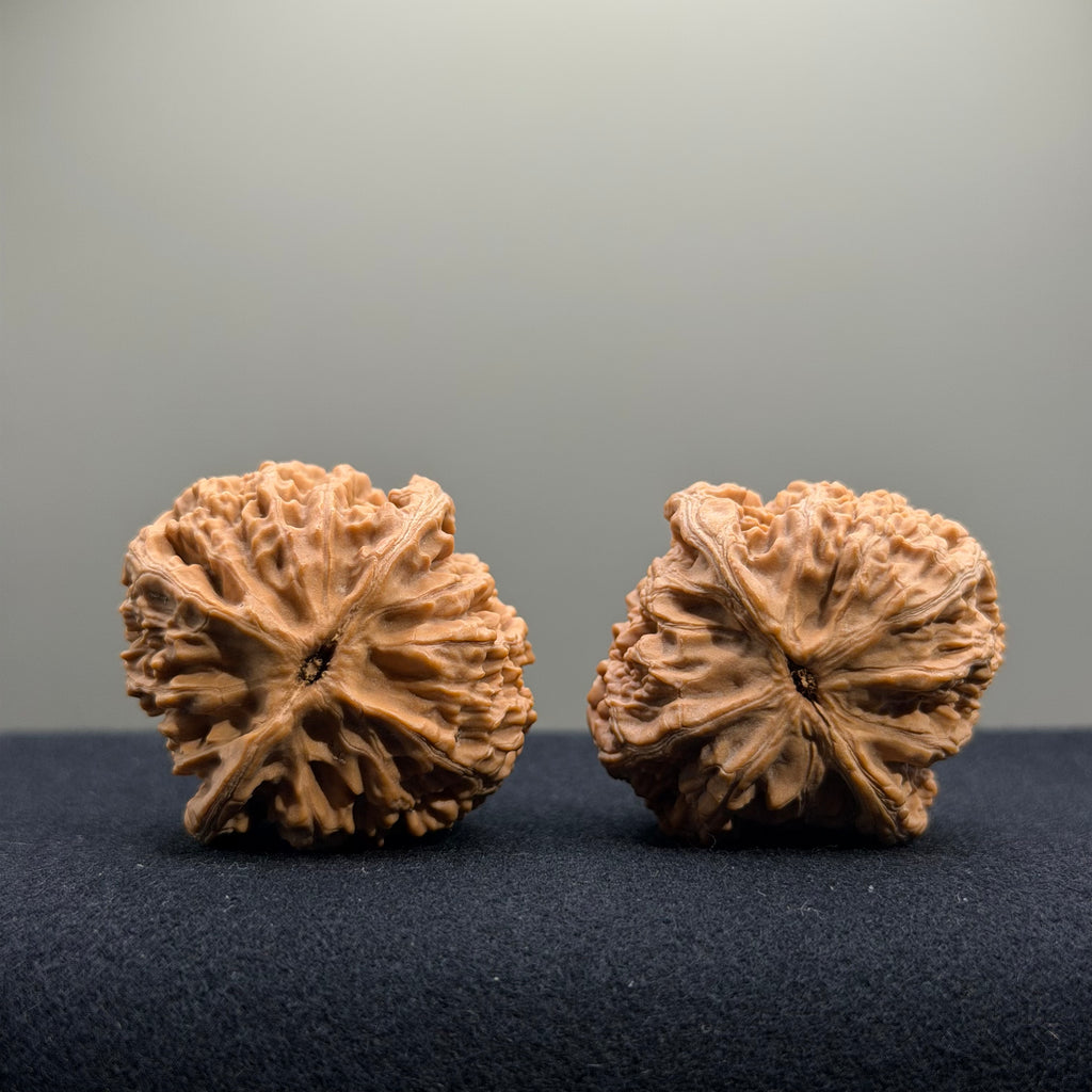 Cowboy Wenwan Walnut · 38mm · Natural · Select Ritual