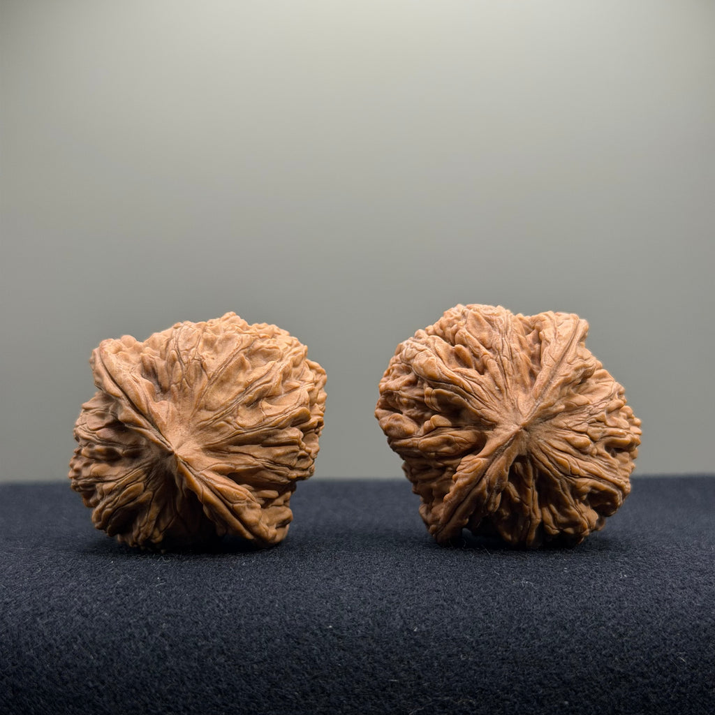 Cowboy Wenwan Walnut · 38mm · Natural · Select Ritual