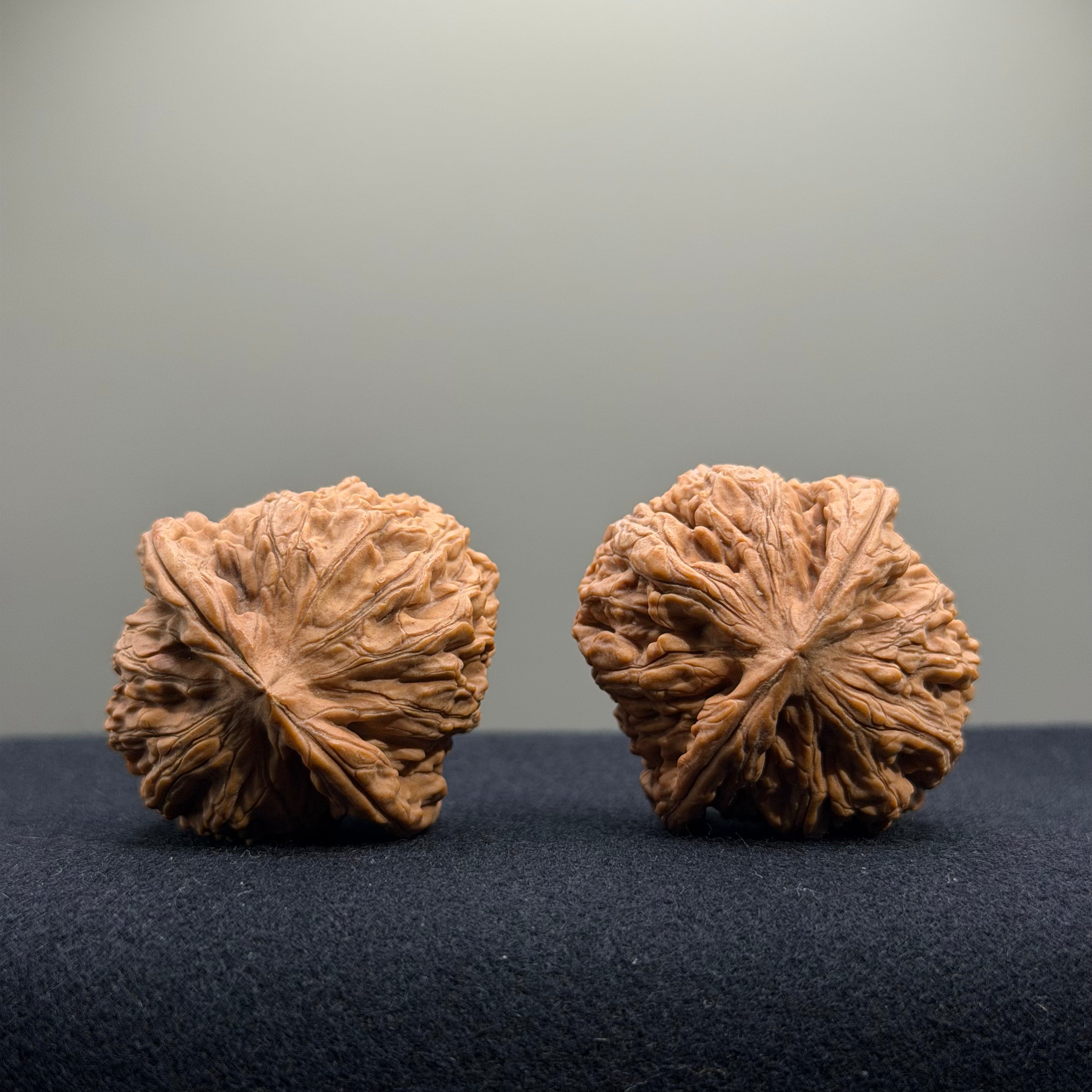 Cowboy Wenwan Walnut · 38mm · Natural · Select Ritual