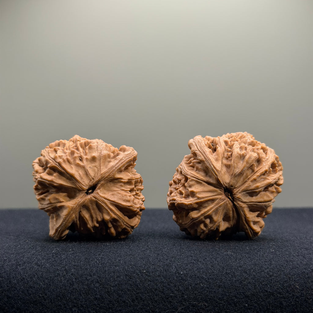 Cowboy Wenwan Walnut · 38mm · Natural · Select Ritual