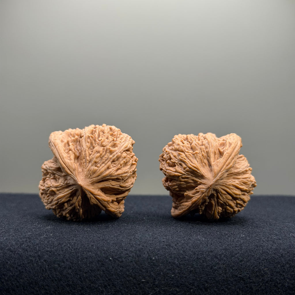 Ruby Wenwan Walnut · 34mm · Natural · Select Ritual