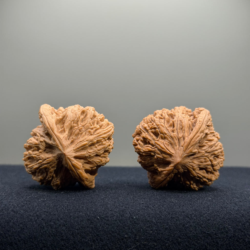 Ruby Wenwan Walnut · 37mm · Natural · Select Ritual