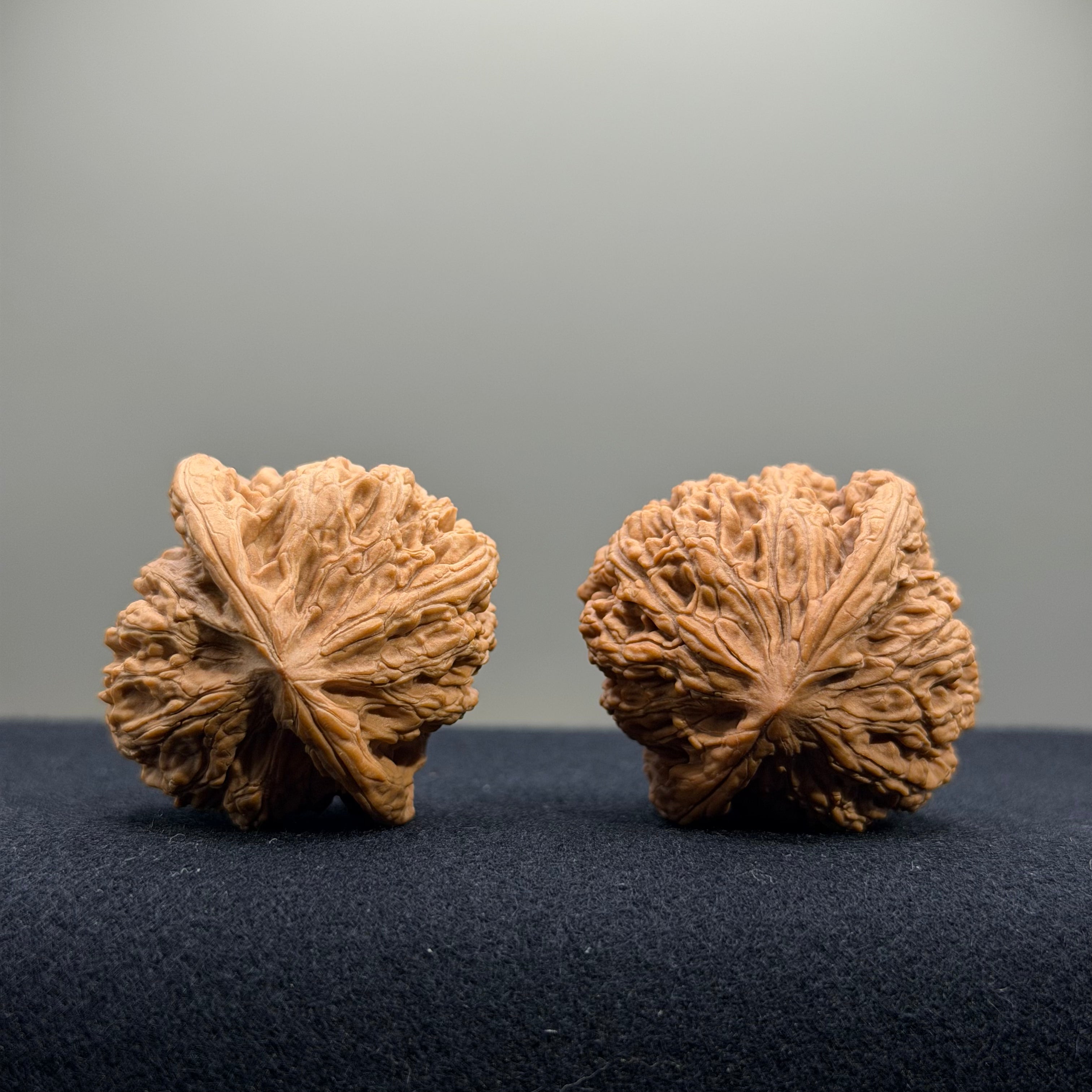 Ruby Wenwan Walnut · 37mm · Natural · Select Ritual