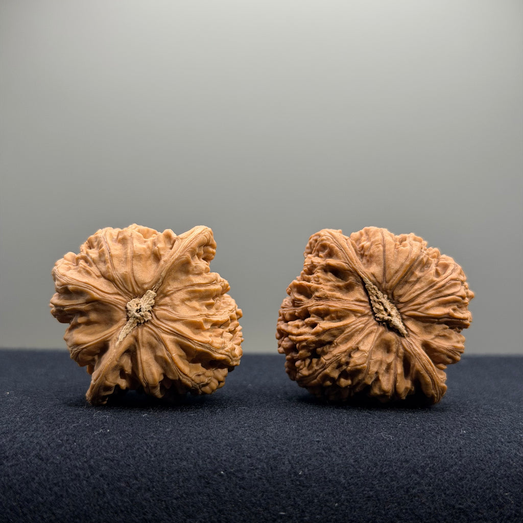 Ruby Wenwan Walnut · 37mm · Natural · Select Ritual