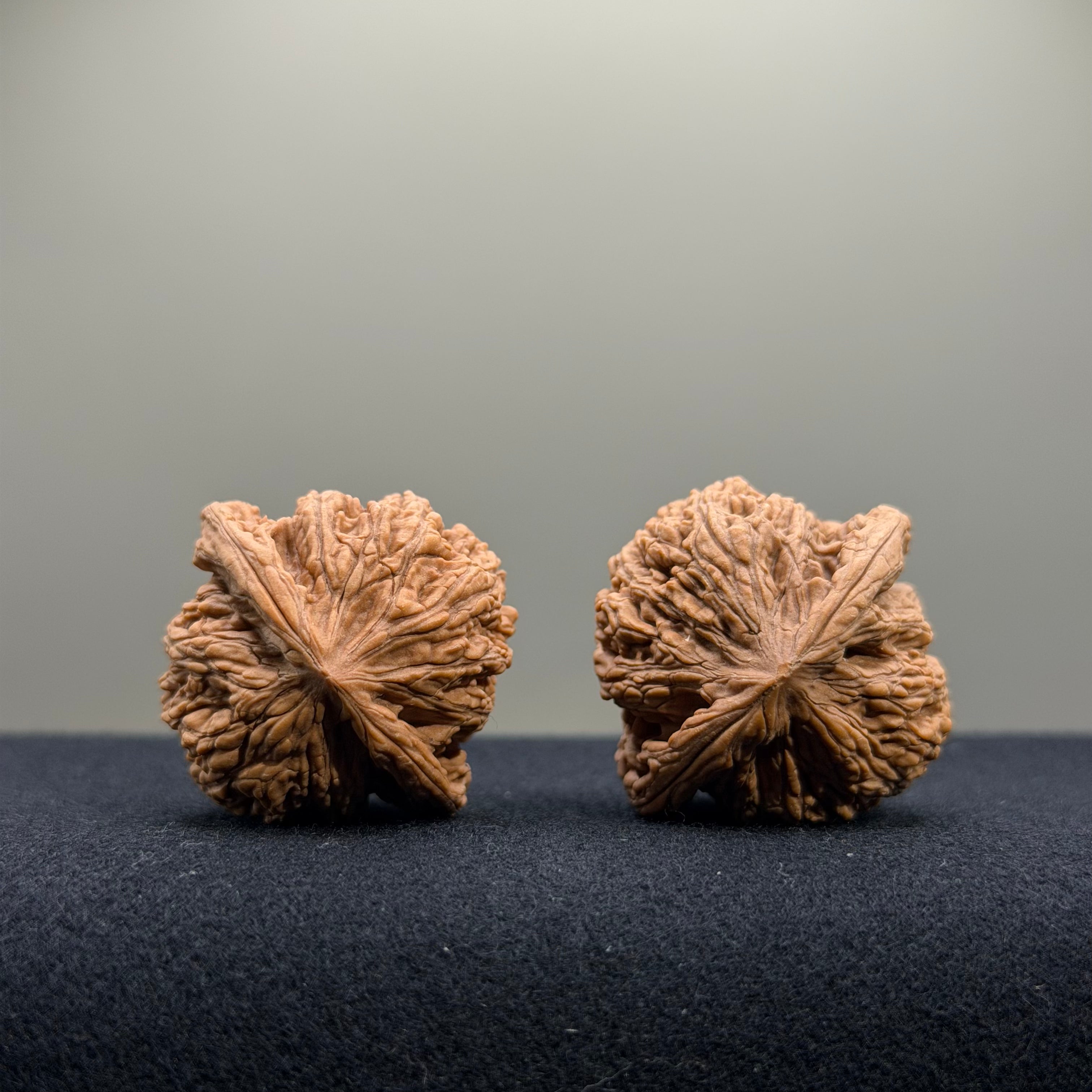 Ruby Wenwan Walnut · 34mm · Natural · Select Ritual