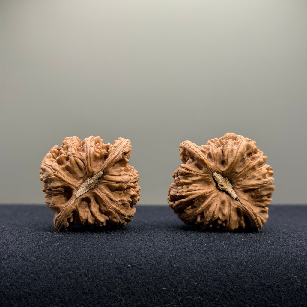 Ruby Wenwan Walnut · 34mm · Natural · Select Ritual