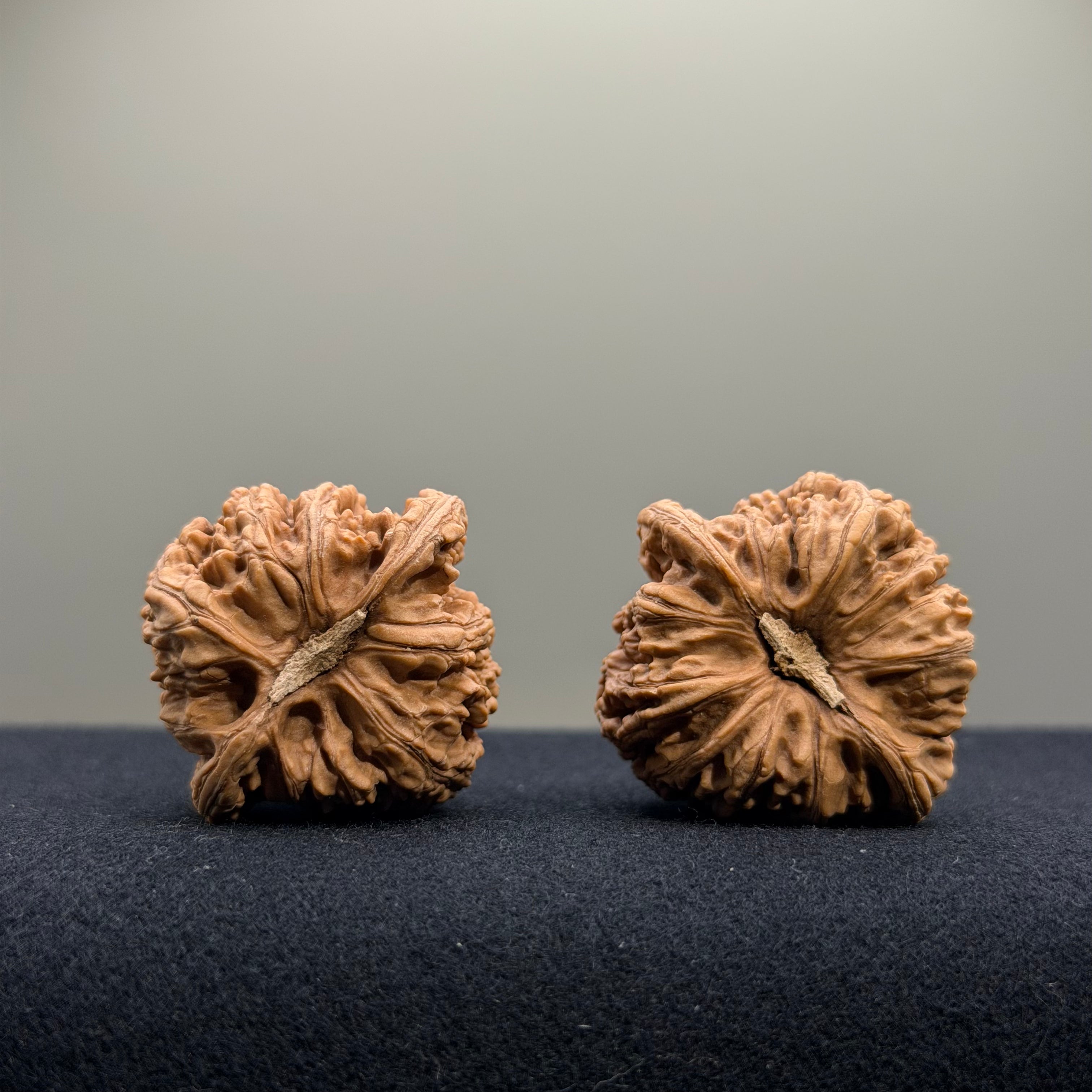 Ruby Wenwan Walnut · 34mm · Natural · Select Ritual