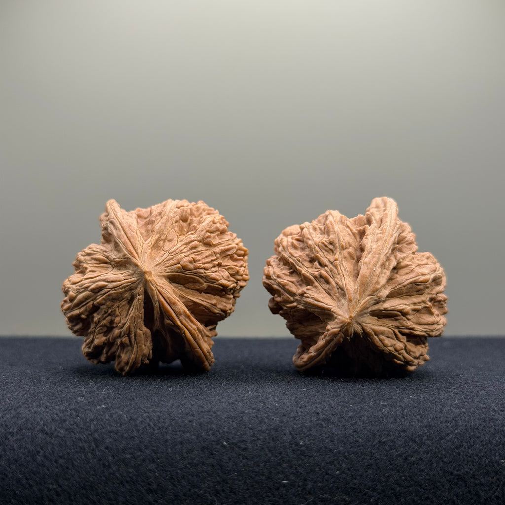 Ruby Wenwan Walnut · 39mm · Natural · Entry Ritual