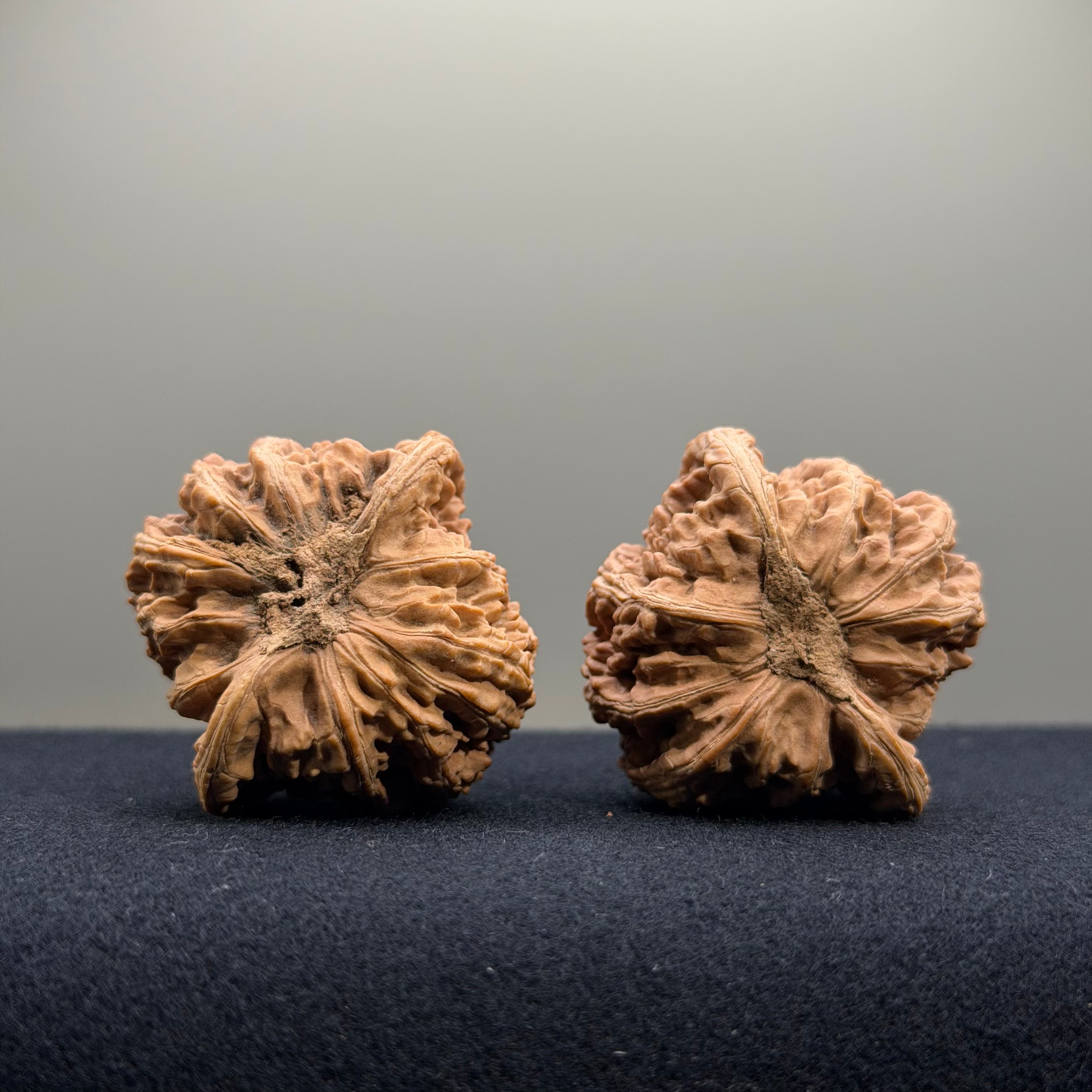Ruby Wenwan Walnut · 39mm · Natural · Entry Ritual