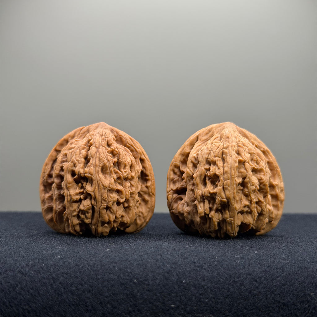 Ruby Wenwan Walnut · 36/37mm · Natural · Entry Ritual