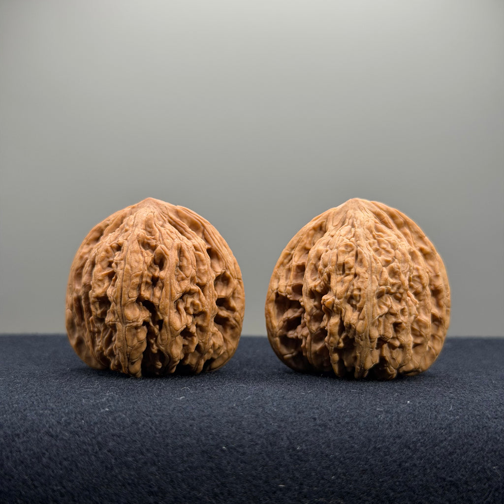 Ruby Wenwan Walnut · 36/37mm · Natural · Entry Ritual
