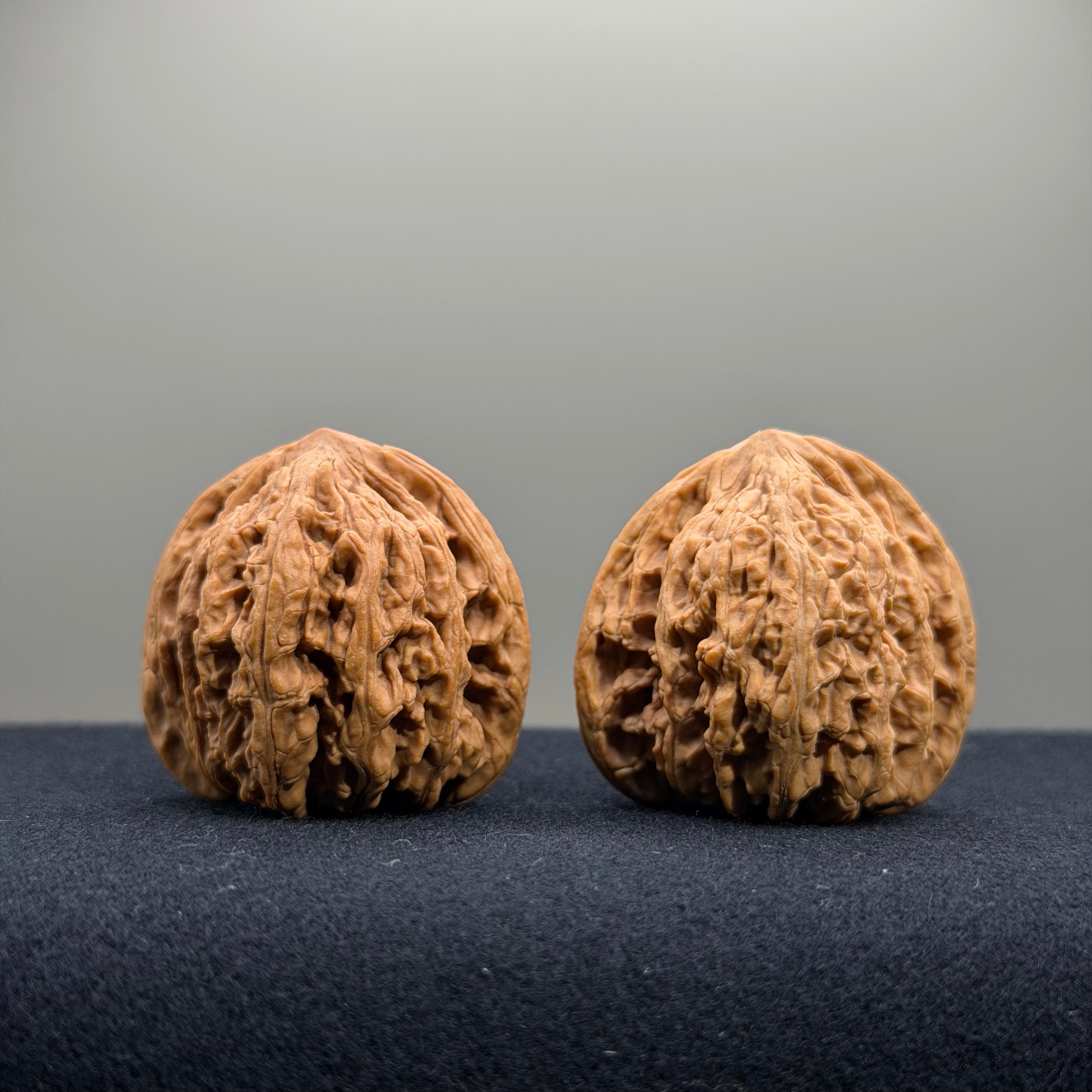 Ruby Wenwan Walnut · 36/37mm · Natural · Entry Ritual