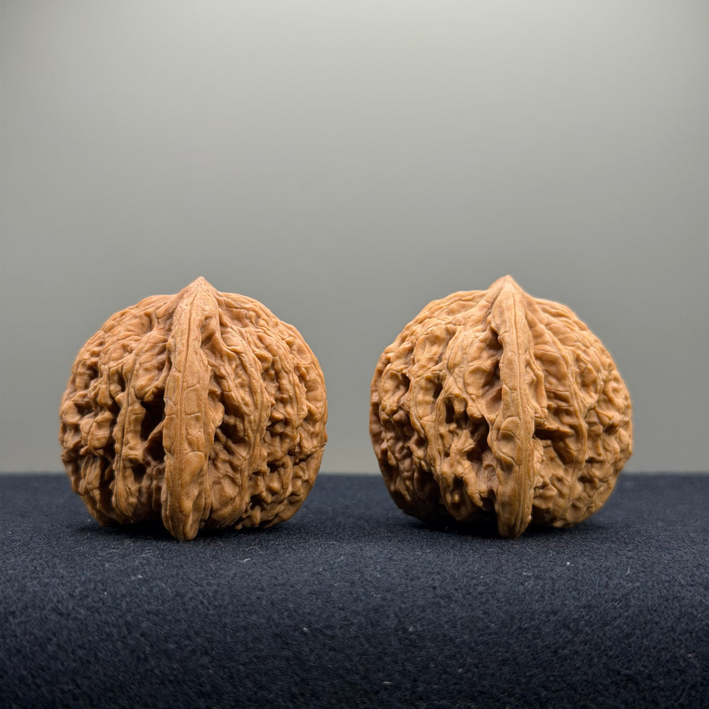 Ruby Wenwan Walnut · 36/37mm · Natural · Entry Ritual