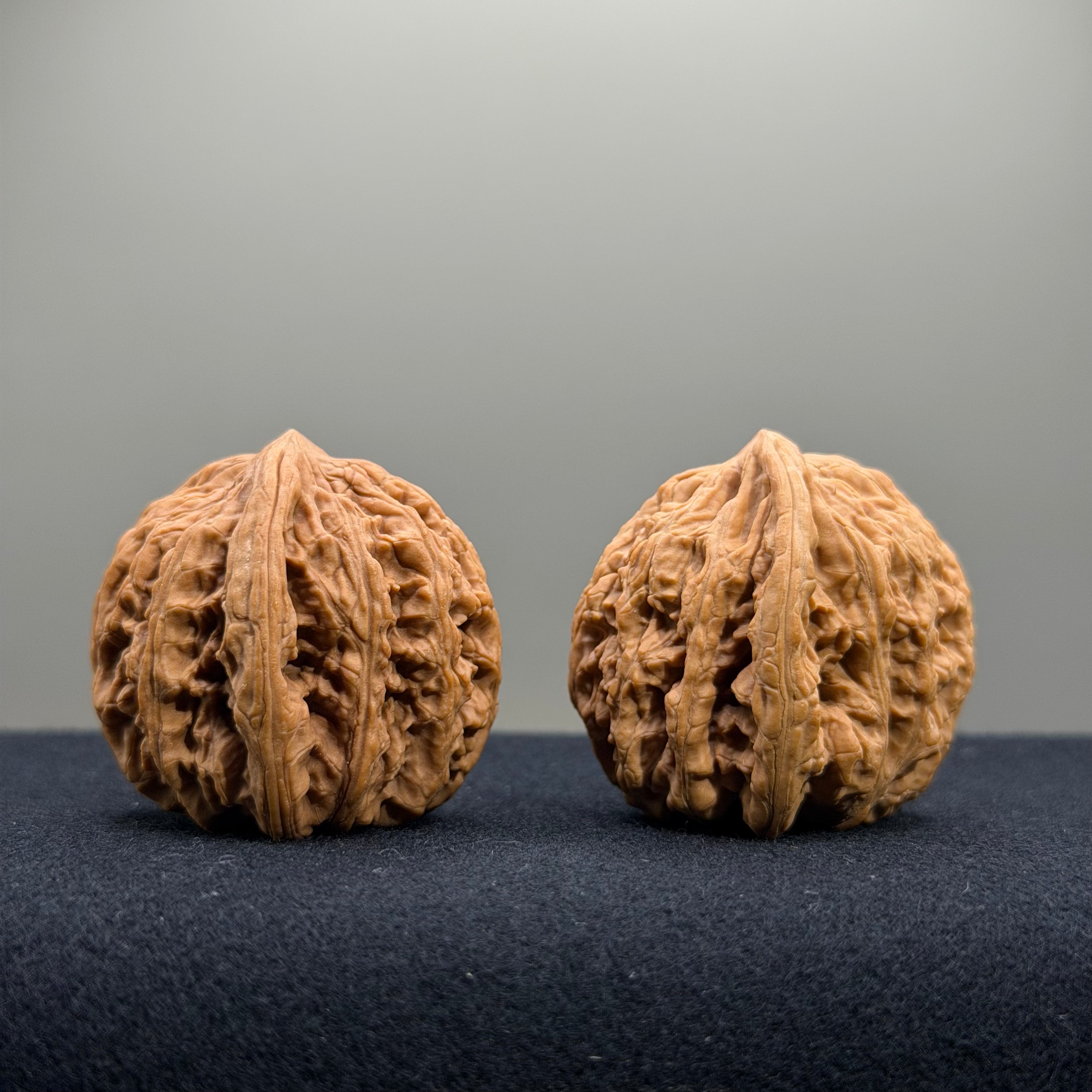 Ruby Wenwan Walnut · 36/37mm · Natural · Entry Ritual