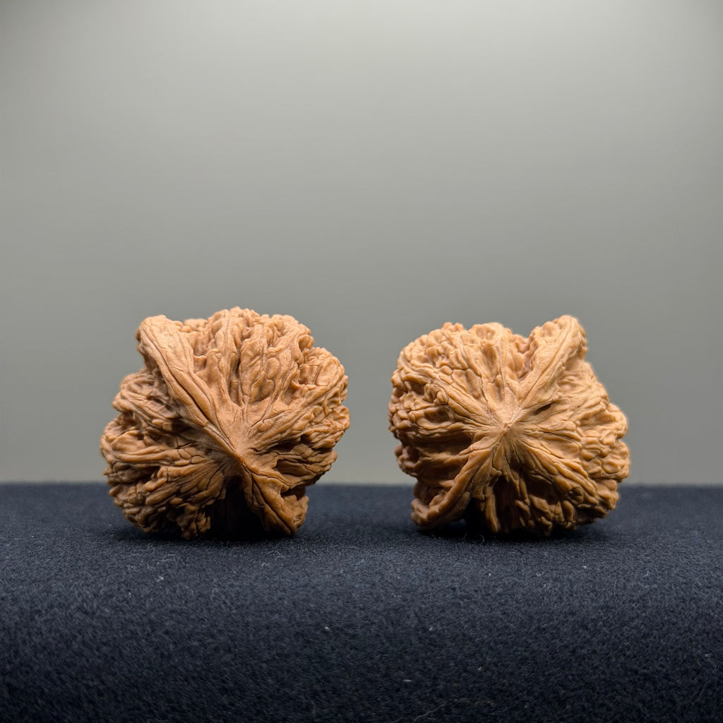Ruby Wenwan Walnut · 36/37mm · Natural · Entry Ritual